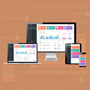 Low Cost Softwares Design and Development Company in India | Award Winning Software Development Services by Webroot Infosoft - Product Image 2