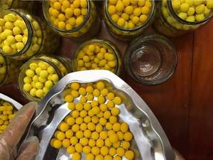 ผงขมิ้นสกัดแห้งบริสุทธิ์น้ำผึ้งแตงกวาแตงกวาขมิ้น - Product Image 5