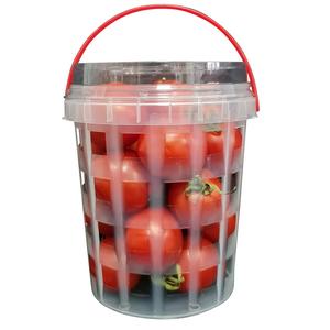 Punnet de fruta de plástico transparente, Color personalizado, sin BPA Material, 5mm de espesor para MANGO de envasado de alimentos de setas y fresas de arándanos - Product Image 4