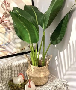 Fabricación de Vietnam hecho a mano Adorable Natural Seagrass Belly Basket Fox Animals - Natural Straw seagrass Baby Changing Basket - Product Image 2