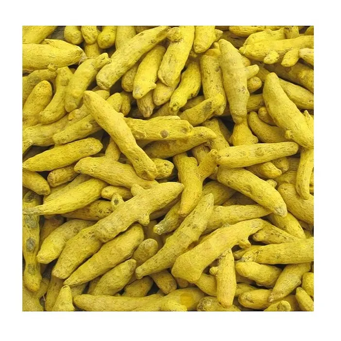 Maßge schneiderte OEM Dry India Kurkuma Finger / Haldi Top Grade Gewürze & Kräuter Produkte Kaufen Sie bei indischen Lieferanten