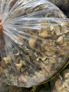 Calabacín seco/Cucurbita pepo/Squash para alimentos y bebidas, alta calidad, verano, 0084, 947, 900, 124 - Product Image 2