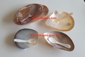 Plateau d'assiettes de Caviar, 1 pièce, plateau en Nickel gravé coquille de mer avec mère de perle assiette de table - Product Image 2
