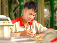 Café Arabica en Grains Verts Premium, Lavé à l'Eau, Poli à l'Eau, Origine Vietnamienne, Petites Commandes Acceptées à Prix Compétitif