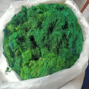 ผ้าไหมซารีย้อมสีธรรมชาติจากใยไหมหม่อนแท้ 100% ผลิตภัณฑ์เส้นใยไหม - Product Image 5