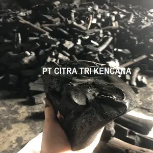 La SAISON du BARBECUE EST À VENIR DANS Darwin AUSTRALIE 2022 EST LE MEILLEUR MOMENT POUR L'IMPORTATION EN PROVENANCE D'INDONÉSIE, DUR DE FRUITS DE BOIS DE CHARBON DE BOIS GRILL - Product Image 1