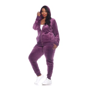 Costume deux pièces pour femmes, survêtement en velours à capuche et fermeture éclair, haut de gamme, livraison directe, pas cher - Product Image 2