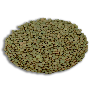 Lentilles vertes sucrées séchées de producteurs premium, en vrac, à vendre à très bas prix - Product Image 1