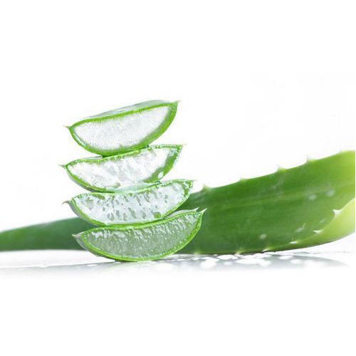 hair mask with aloe vera gel Dominican Magic Aloe Vera Hair Mask – 16 oz main image 1