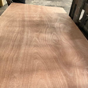 Pegamento de madera contrachapada de tamaño estándar de alta calidad 1220x2440m E0 E1E2 Proveedor de oro Bintagor/Okoume Face para embalaje de construcción Precio - Product Image 1