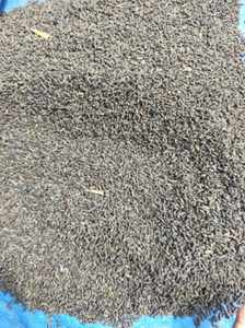 ปุ๋ยมูลค้างคาวคุณภาพสูงราคาดีที่สุด/ปุ๋ยมูลค้างคาวออร์แกนิกจากเวียดนาม/คุณลอร่า +84 91 850 9071 - Product Image 5