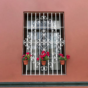 Special Offer Professional Manufacturer Wrought Iron Steel Window Door Design - Product Image 1