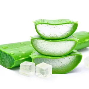 Gel de Aloe Vera para limpieza de jugos en polvo, Material orgánico para la piel saludable de la República natural, venta al por mayor