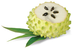 Poudre de fruit de graviola en gros / Fruit de corossol de haute qualité - Product Image 5