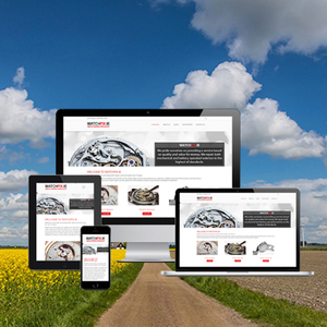 Personality Watches Ecommerce Website Design & Development Company | Offshore eCommerce Website Development Services by Webroot - Product Image 5