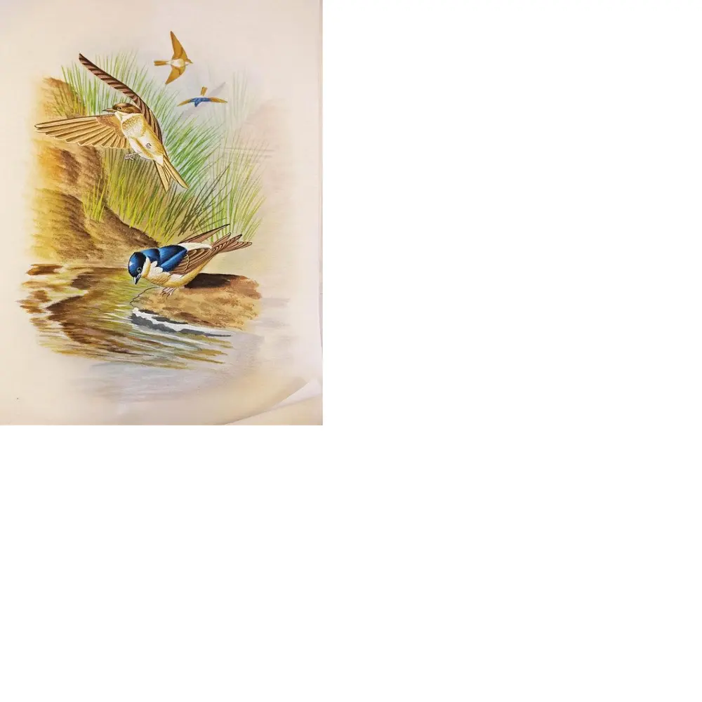 Pinturas de seda hechas a mano de diseños de pájaros para decoración del hogar, diseñadores de interiores