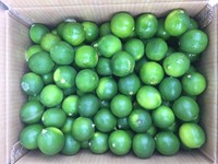 Citron frais sans pépins du Vietnam, qualité Long An, fruit d'agrumes naturel, paquet de 10 kg