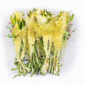 Fleur de Fruit de Dragon du vietnam - Product Image 5