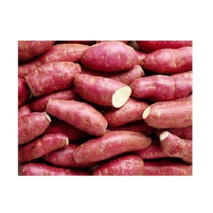 Batata Fresca de Vietnam a Precio Económico / Polvo de Batata Morada al por Mayor para Batata de Alta Calidad - Product Image 4