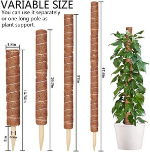 Supports de plantes en forme de totem naturel Enterenprize - Modèle Tp0001 pour plantes grimpantes d'intérieur - Product Image 3