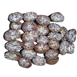 100% organic new fresh areca nut areca catechu betel nut dried