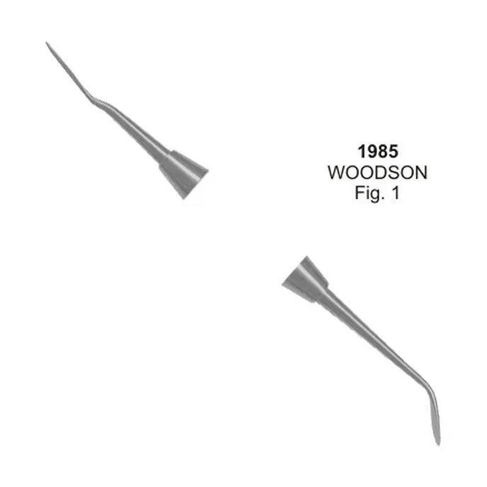 Instruments de remplissage en plastique Woodson fig. 1 Instruments dentaires composites