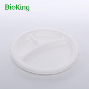 BioKing Assiettes à bagasse jetables biodégradables pour restaurants mariages pour emballage alimentaire Présentoir à sushis - Product Image 6