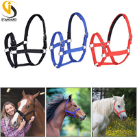 En gros, Bridon et Licol pour Cheval en PU/Nylon Épaissi, Réglable, de Haute Qualité, Confortable, Couleur Personnalisable, Taille Personnalisable, Logo Personnalisable