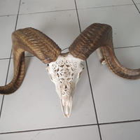 Crânes sculptés de moutons, art populaire en bois, sculpture de haute qualité avec des détails fins, 100% fait à la main à Bali