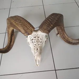 งานแกะสลักกะโหลกศีรษะของแกะ ศิลปะพื้นบ้าน ไม้คุณภาพสูง แกะสลักละเอียด 100% ทำด้วยมือในบาหลี - Product Image 1