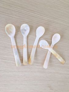 Đẹp Cổ Điển Thiết Kế Mẹ Của Ngọc Trai Spoon Seashell Shell Kích Thước Tùy Chỉnh <span class=keywords><strong>Ice</strong></span> <span class=keywords><strong>Cream</strong></span> Cà Phê Trà Spoon Mặt Hàng Nóng Handmade - Product Image 5