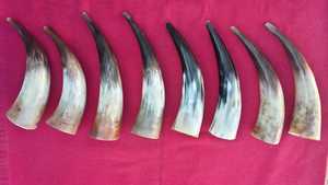 Corne de bière Culture viking corne à boire médiévale, cadeau de garçons d'honneur et cadeau de mariage BY NOORBABA INTERNATIONAL - Product Image 3