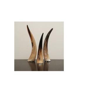 Cuerno decorativo de búhos, bocina natural real de diferente tamaño, último diseño, vajilla para el hogar, gran oferta - Product Image 5