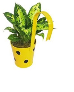 Macetero de metal para plantas y flores de interior, decoración para sala de estar, hogar, terraza, balcón y jardinería, superventas - Product Image 1