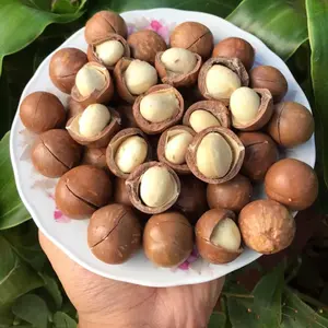 नाश्ता MACADAMIA पागल जनवरी 2021 में/सुश्री चमेली + 8434 666 0229