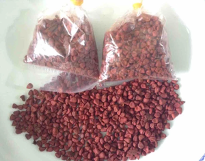 Semillas secas de anatto rojo, polvo para coloreado de alimentos naturales, precio competitivo de VIETNAM - Product Image 2