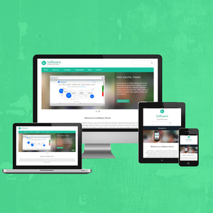 Professionally cheap custom software <b>Development</b> Company in India | Award Winning Software <b>Development</b> Services by Webroot - Product Image 4