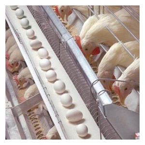 พลังงานต่ำไข่ชั้นกรงไก่สำหรับสุ่มไก่ - Product Image 1