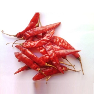 food chilies supplier