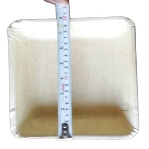 Platos y platos de cerámica bioactivos Stealth de hoja de areca higiénica 100%, respetuosos con el medio ambiente, saludables para usar, patrón de planta único para acampar - Product Image 1