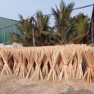 Bâtons de balai en bois d'eucalyptus droits et enduits de PVC poignées de balai en bois durables pour un usage domestique - Product Image 1