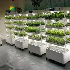 Aquaponic System Indoor Garden Hydro po nische Anbaus ysteme Gemüse Landwirtschaft liche Maschinen für die Blatt pflanzung