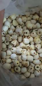 GRAINES DE LOTUS SÉCHÉES - Product Image 6