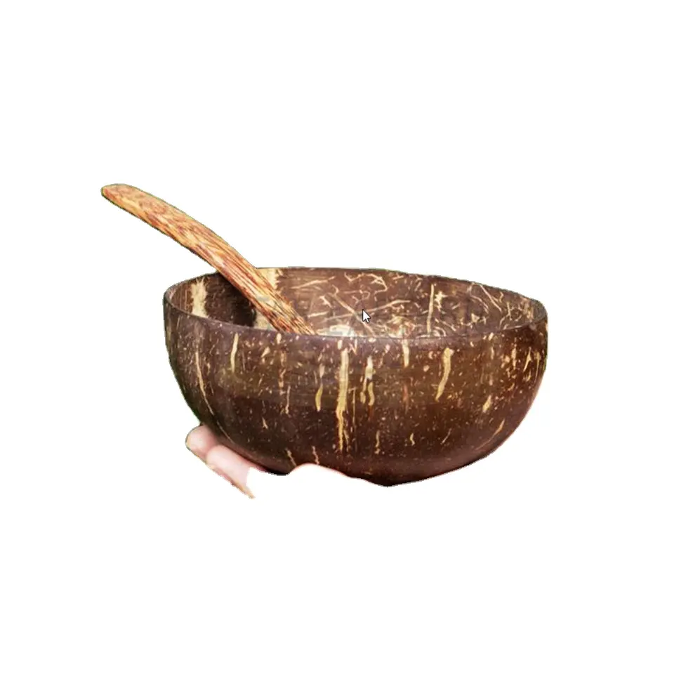 Cuenco y cuchara de coco lacado para batidos, cuenco de concha de coco de lujo, prémium, ecológico, Natural para ensalada de frutas