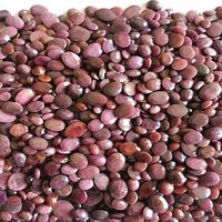 Pierre précieuse en rubis rouge de qualité AAA, taille baguette naturelle, certifiée IGI