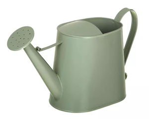 Arrosoir en fer galvanisé pour la maison et le jardin, Pot d'arrosage décor, outil d'arrosage avec pichet et finition chromée, offre spéciale, - Product Image 5