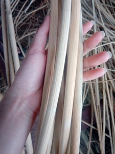 Núcleo de mimbre ovalado plano, accesorio para la piel, 99GD - Product Image 4