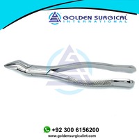 Forceps d'extraction dentaire GOLDEN Incisor en acier inoxydable, instruments dentaires équins, pince à dents pour chevaux GSIB-100220