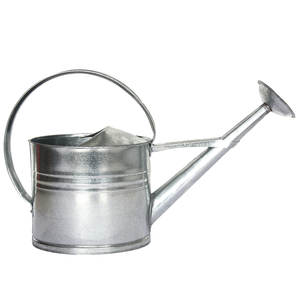Regadera de lujo hecha a mano para jardín, bote de agua verde con recubrimiento de polvo galvanizado, sencillo, al por mayor - Product Image 4