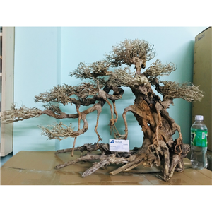 Oferta caliente-Fabricante directo al por mayor Driftwood Acuario Planta Bonsai Driftwood para decoración de peceras de Vietnam - Product Image 6